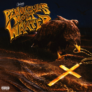 国产97公开成人免费视频
